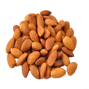 Almond PNG-50640